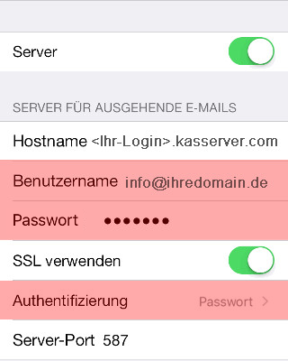 Die Einstellungen des Postausgangsservers mit Benutzername, Passwort und der Authentifizierung „Passwort"